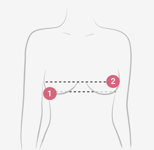 Bras Size Chart - How To Measure